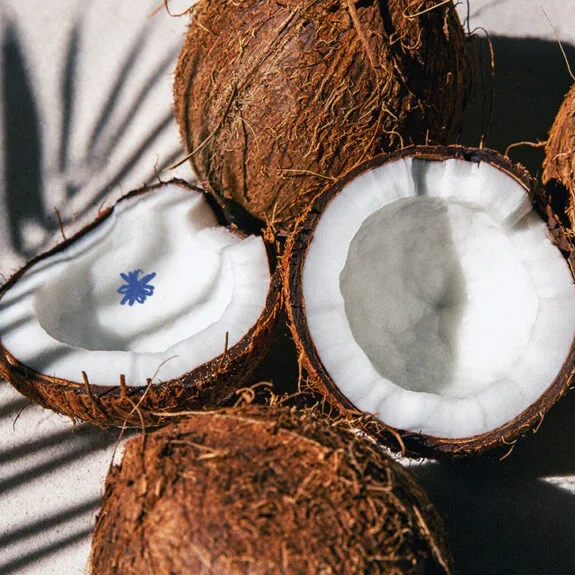 coconut